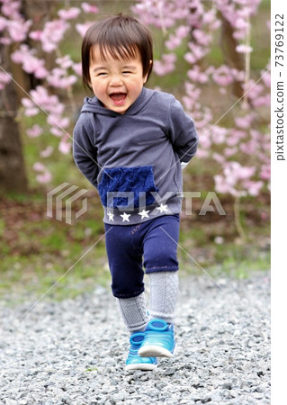 A 2-year-old boy walking with a smile against the cherry blossoms in full bloom A 2-year-old boy walking with a smile against the cherry blossoms in full bloom 73769122