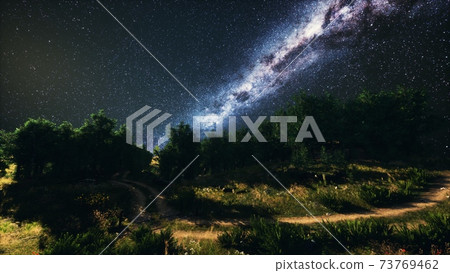 Green Trees Woods In Park Under Night Starry Sky Green Trees Woods In Park Under Night Starry Sky 73769462