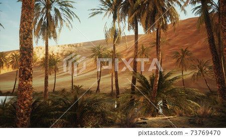 oasis with palm trees in desert oasis with palm trees in desert 73769470