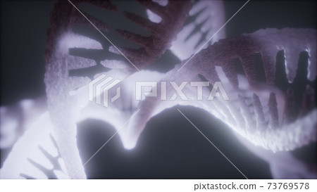 loop double helical structure of dna strand... - Stock Illustration ...