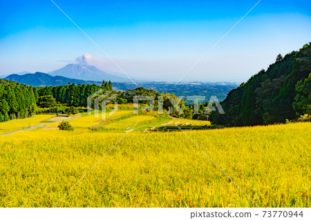 Yae rice terraces and Sakurajima 73770944