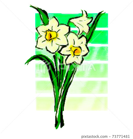 手繪簡單的水仙花圖 手繪簡單的水仙花圖 73771481