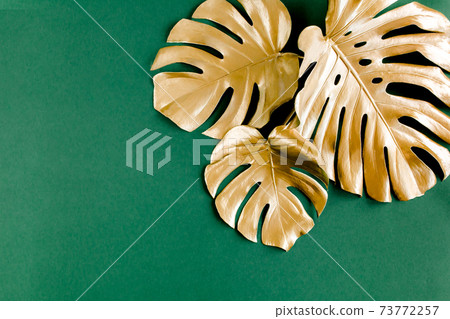 Gold tropical palm leaves Monstera on green background. Flat lay, top view minimal concept. 73772257