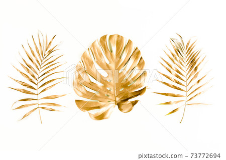 Gold tropical palm leaves Monstera on white background. Flat lay, top view minimal concept. Gold tropical palm leaves Monstera on white background. Flat lay, top view minimal concept. 73772694