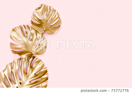 Gold tropical palm leaves Monstera on pink background. Flat lay, top view minimal concept. Gold tropical palm leaves Monstera on pink background. Flat lay, top view minimal concept. 73772776