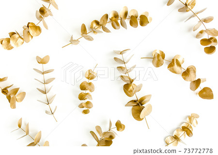 Pattern made of gold branches, eucalyptus leaves on a white background. flat layout, top view Pattern made of gold branches, eucalyptus leaves on a white background. flat layout, top view 73772778