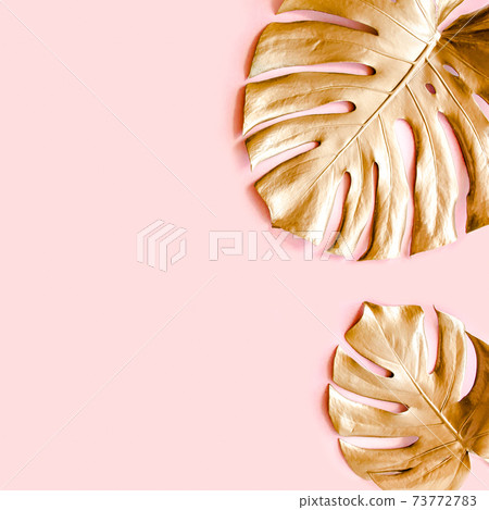 Gold tropical palm leaves Monstera on pink background. Flat lay, top view minimal concept. Gold tropical palm leaves Monstera on pink background. Flat lay, top view minimal concept. 73772783