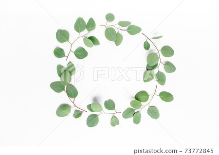 Wreath frame made of branches eucalyptus isolated on white background. lay flat, top view Wreath frame made of branches eucalyptus isolated on white background. lay flat, top view 73772845