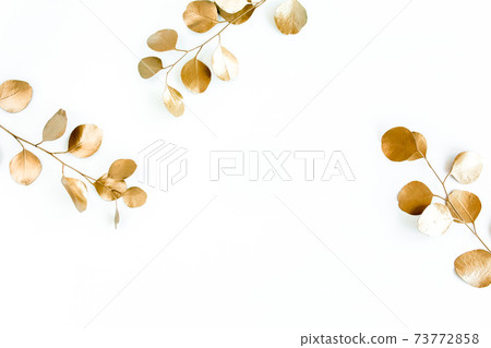 Borders of the frame of gold branches, eucalyptus leaves on a white background. flat layout, top view 73772858