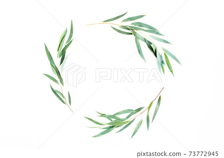 Round wreath frame made of branches eucalyptus isolated on white background. lay flat, top view Round wreath frame made of branches eucalyptus isolated on white background. lay flat, top view 73772945