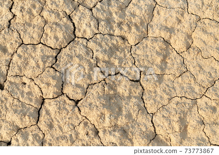 Dry surface of the ground. Dry surface of the ground. 73773867