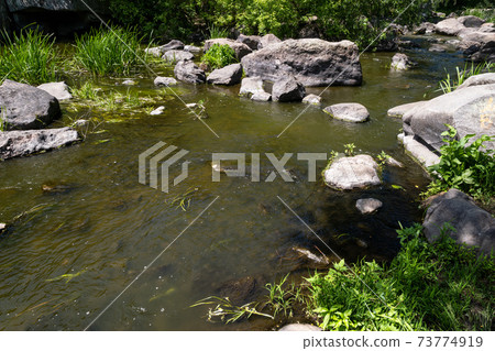 Buky Canyon summer landscape, Hirskyi Tikych river, Cherkasy Region, Ukraine. 73774919