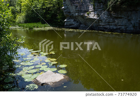 Buky Canyon summer landscape, Hirskyi Tikych river, Cherkasy Region, Ukraine. 73774920