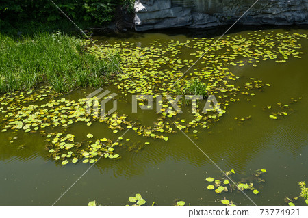 Buky Canyon summer landscape, Hirskyi Tikych river, Cherkasy Region, Ukraine. Buky Canyon summer landscape, Hirskyi Tikych river, Cherkasy Region, Ukraine. 73774921