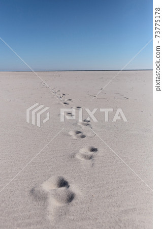 美國東海岸的海灘 73775178