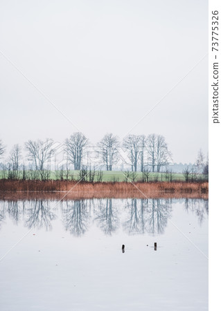 Picturesque winter landscape of frozen trees and reflection in the lake 73775326