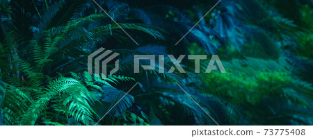 Tropical green leaves background Tropical green leaves background 73775408