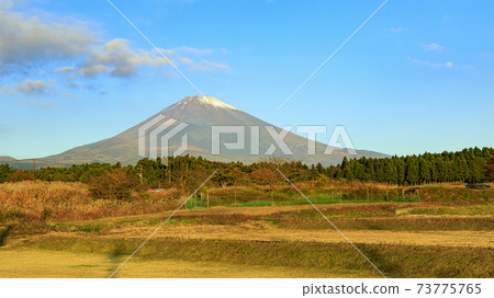 Autumn of Mt. Fuji seen from Gotemba 73775765
