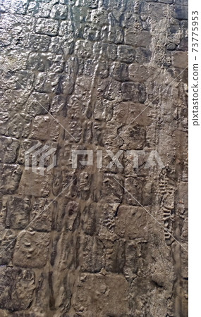 slush in the city - dirty and wet paving tile 73775953