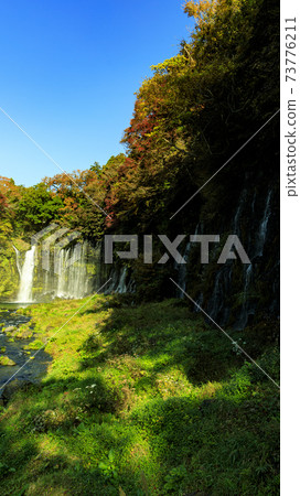 Shiraito的秋葉在靜岡縣富士宮市落 73776211