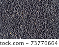 Black cumin seeds 73776664
