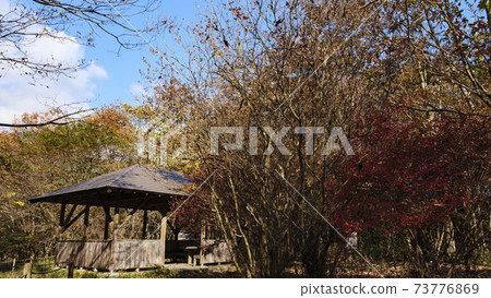 靜岡縣富士宮市小沼市濕地的秋天 73776869