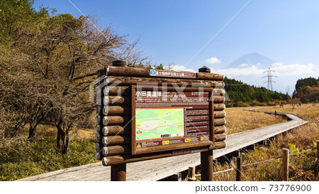 靜岡縣富士宮市小沼市濕地的秋天 73776900