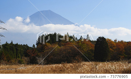 Autumn in Kodanuki Wetland, Fujinomiya City, Shizuoka Prefecture Autumn in Kodanuki Wetland, Fujinomiya City, Shizuoka Prefecture 73776905