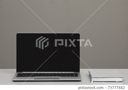 Blank Laptop Screen Background on Grey 73777882