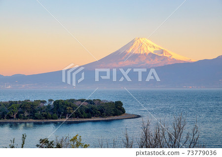 Mt. Fuji (Januest Izu Osezaki) 73779036