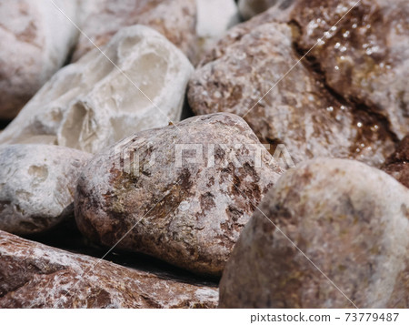 Pebbles on the coast. Natural background for your projects. Travel concept. Pebbles on the coast. Natural background for your projects. Travel concept. 73779487