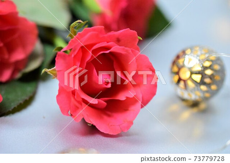 Close up of a pink rose near a small light against a grey background 73779728