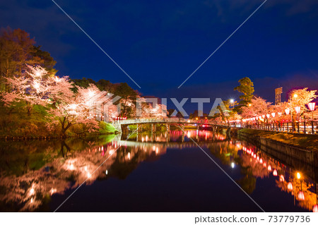 櫻桃樹在護城河的晚上 73779736