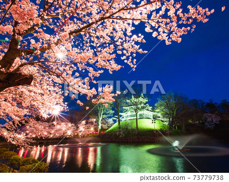 在高田城堡的櫻花在晚上破壞公園 73779738