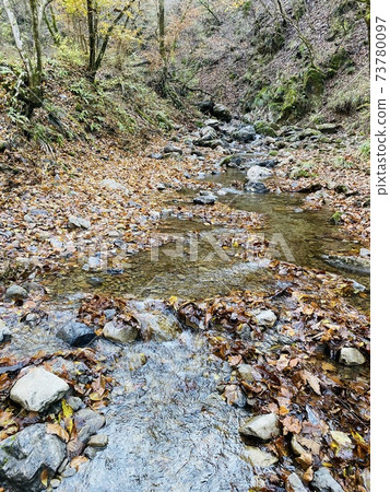 A stream flowing through Mt. Ontake A stream flowing through Mt. Ontake 73780097