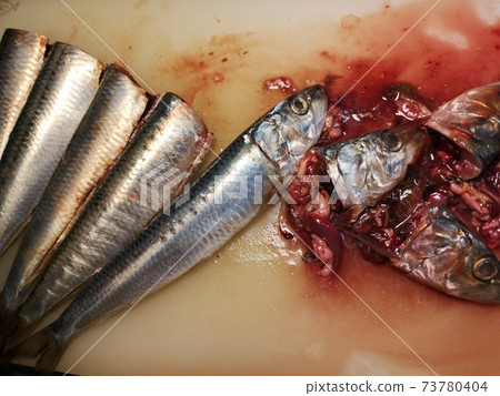 sardine 73780404