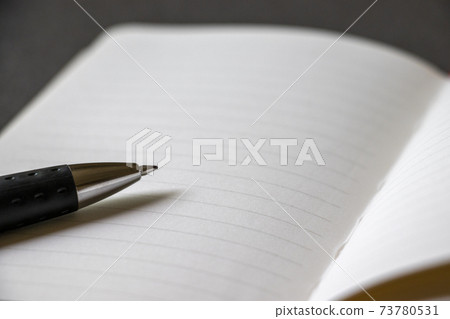 White notebook and ballpoint pen White notebook and ballpoint pen 73780531