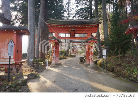Tachiya Saikoji 73782168