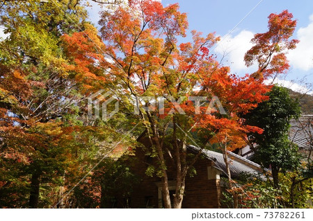 Yufuin, Yufu City, Oita Prefecture Autumn leaves and buildings around Lake Kinrin 73782261