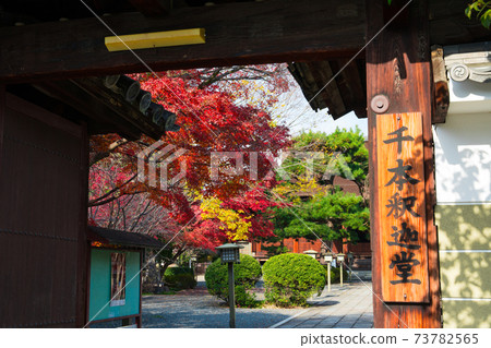 Autumn leaves of Senbon Shakado in Kyoto 73782565