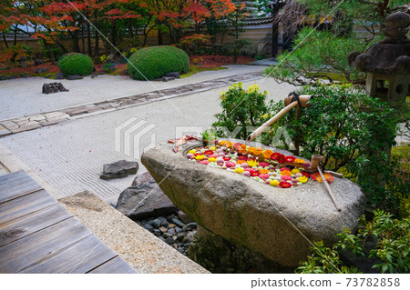 京都Myokenji寺Chozubachi和秋葉 73782858