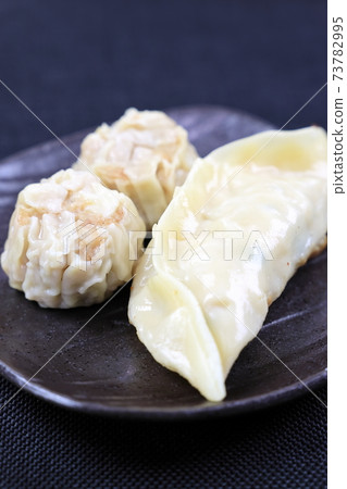 Delicious shumai and gyoza Delicious shumai and gyoza 73782995