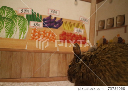 首次購物（蔬菜水果商版） 73784068