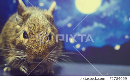 月下用餐 73784069