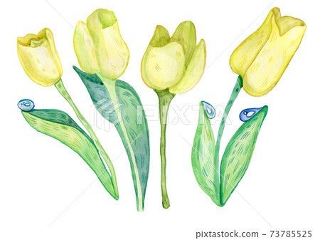 Watercolor hand painted yellow flowers, leaves isolated on white. Modern watercolor style floral collection. Set of watercolor flowers and leaves. 73785525