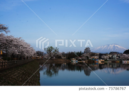 高松池塘和岩手山盛開 73786767