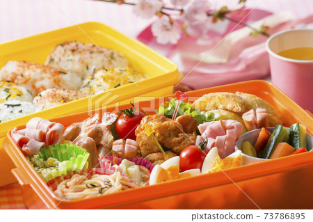 Spring vacation lunch 73786895