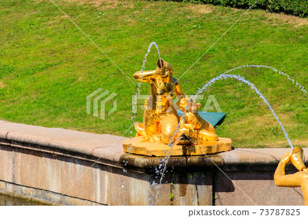 Gilded fountain in Lower park of Peterhof in St. Petersburg, Russia 73787825