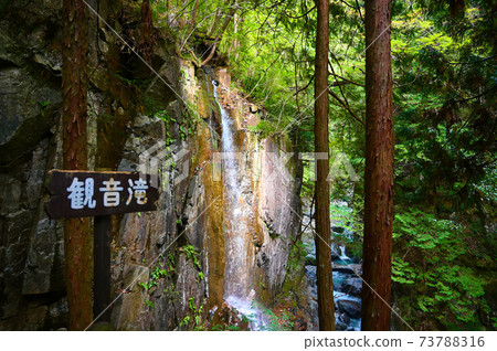 岐阜縣中津川市築地峽觀音瀑布 73788316