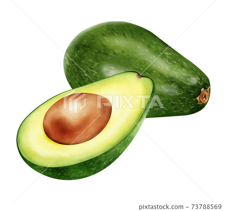 Watercolor illustration avocado Watercolor illustration avocado 73788569